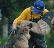 Dog police sleeve - X-Sleeve - AIR COMPRESSION SLEEVE Dog police sleeve - X-Sleeve - AIR COMPRESSION SLEEVE