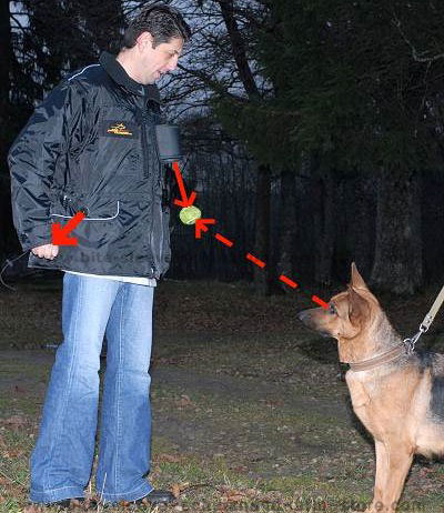 magic-pocket-dog-training-vest